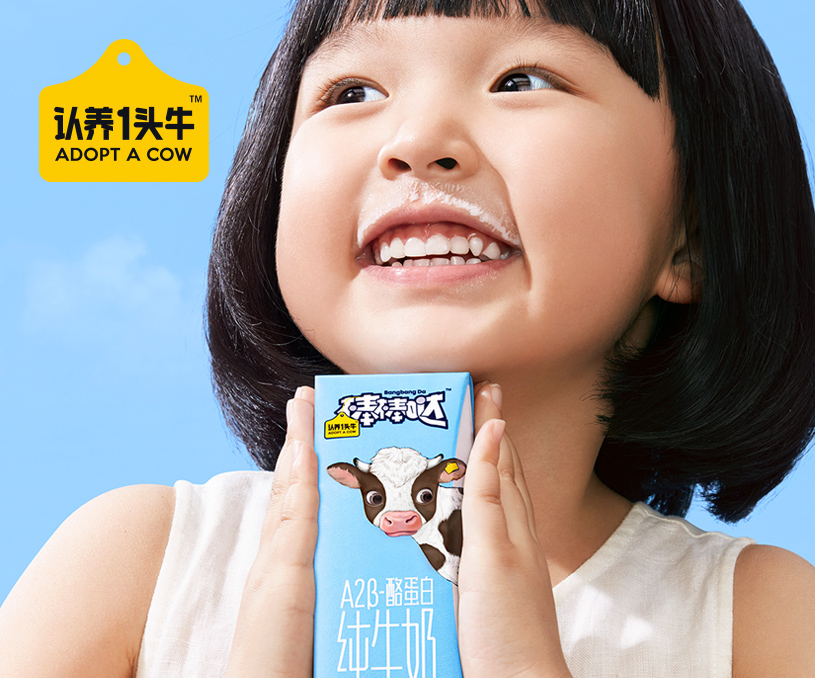 全棉时代内衣品牌全案策划设计